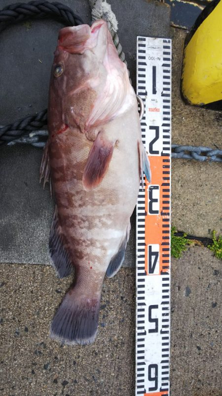 第二龍勢丸 釣果