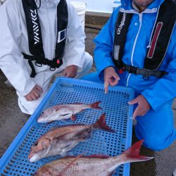 第三共栄丸 釣果