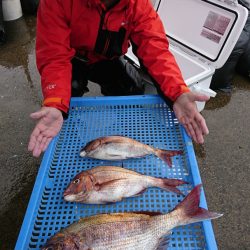 第三共栄丸 釣果