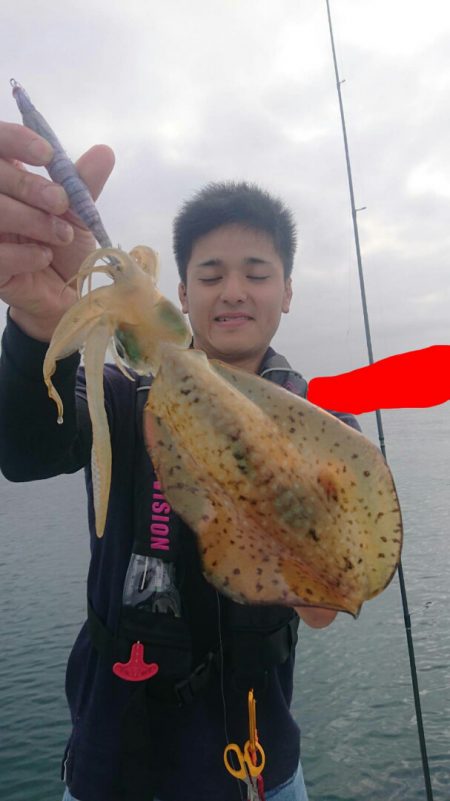 きずなまりん 釣果