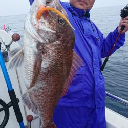 ARCADIAⅡ (アルカディアⅡ) 釣果