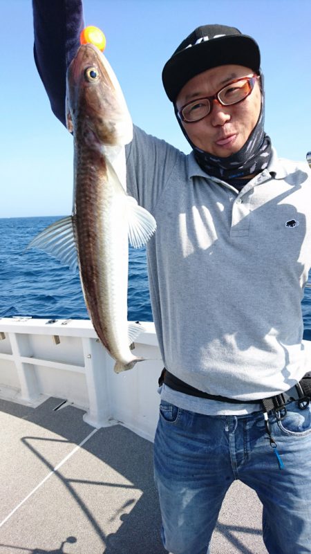 ARCADIAⅡ (アルカディアⅡ) 釣果