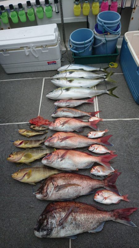 ARCADIAⅡ (アルカディアⅡ) 釣果