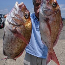 第三共栄丸 釣果