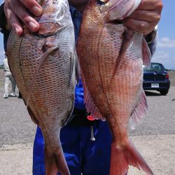 第三共栄丸 釣果