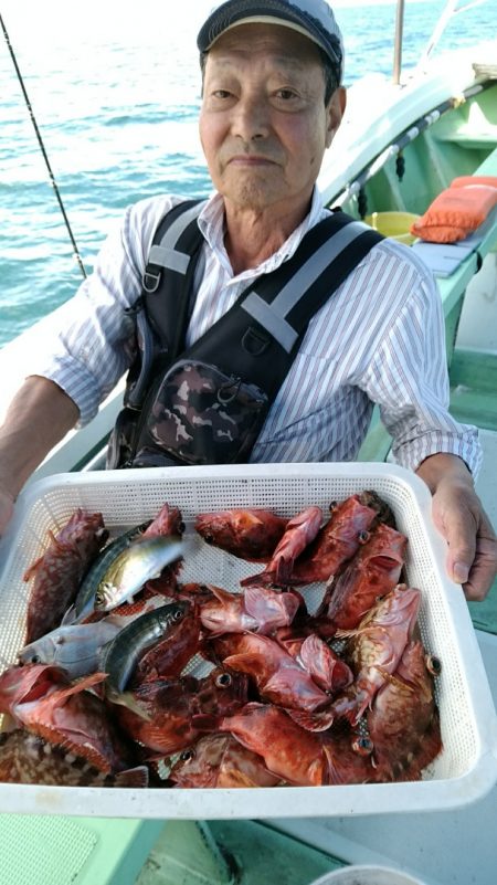 小島丸 釣果