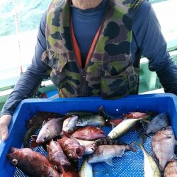 小島丸 釣果