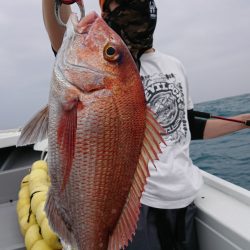 だて丸 釣果