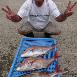 第三共栄丸 釣果