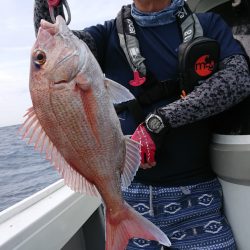 だて丸 釣果
