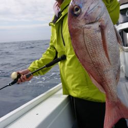 だて丸 釣果