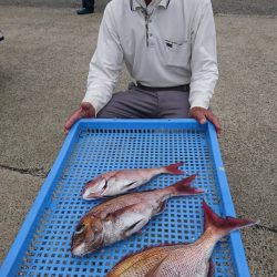 第三共栄丸 釣果