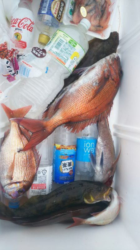 ブルドック 釣果