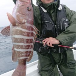だて丸 釣果