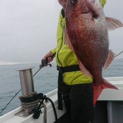 だて丸 釣果