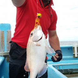 みやけ丸 釣果