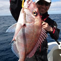 ARCADIAⅡ (アルカディアⅡ) 釣果