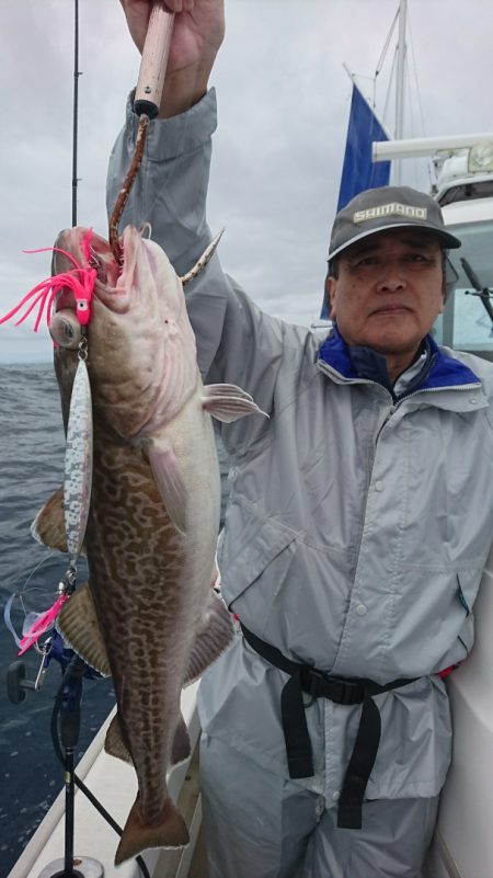 ARCADIAⅡ (アルカディアⅡ) 釣果