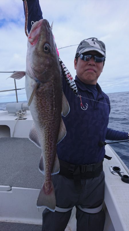 ARCADIAⅡ (アルカディアⅡ) 釣果