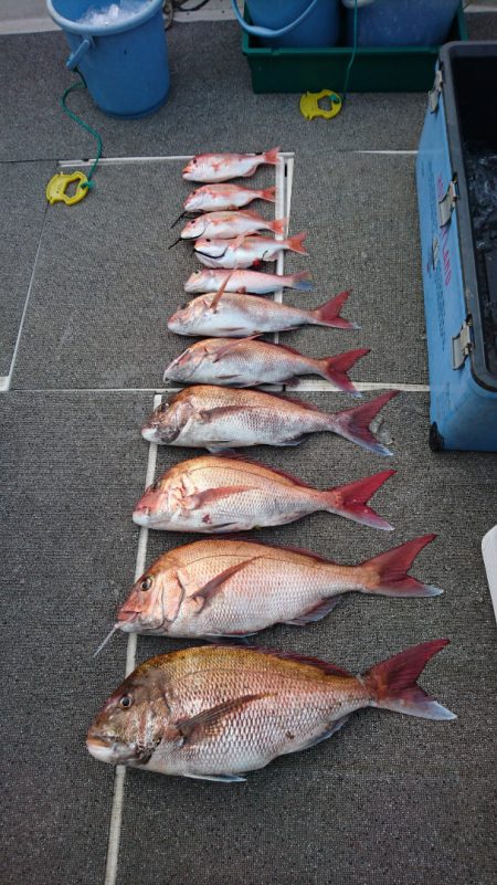 ARCADIAⅡ (アルカディアⅡ) 釣果