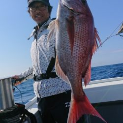 だて丸 釣果