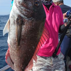 ARCADIAⅡ （アルカディアⅡ） 釣果