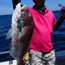 ARCADIAⅡ （アルカディアⅡ） 釣果