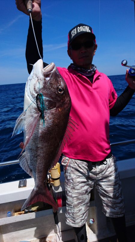 ARCADIAⅡ （アルカディアⅡ） 釣果