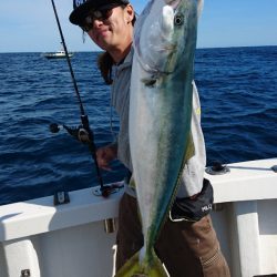 ARCADIAⅡ （アルカディアⅡ） 釣果