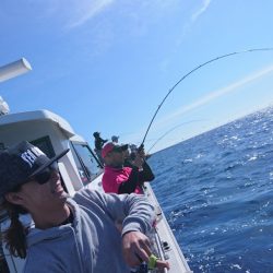 ARCADIAⅡ （アルカディアⅡ） 釣果