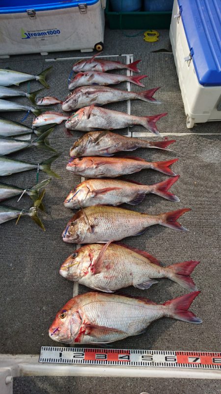 ARCADIAⅡ （アルカディアⅡ） 釣果