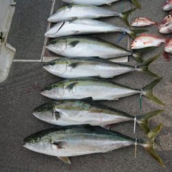 ARCADIAⅡ （アルカディアⅡ） 釣果