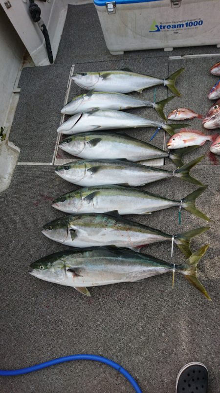 ARCADIAⅡ （アルカディアⅡ） 釣果