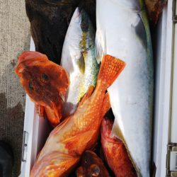 第二龍勢丸 釣果