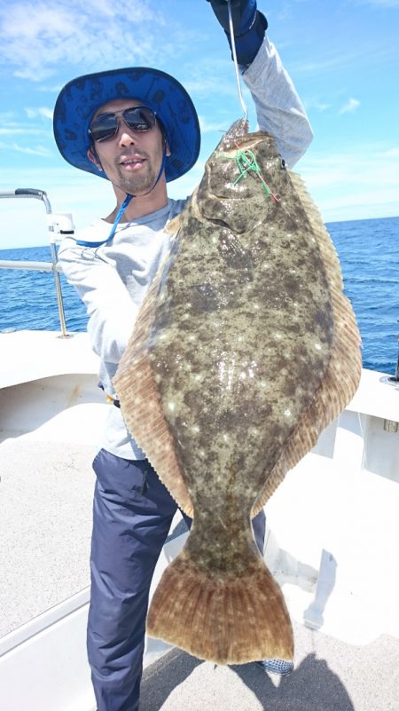 ARCADIAⅡ （アルカディアⅡ） 釣果