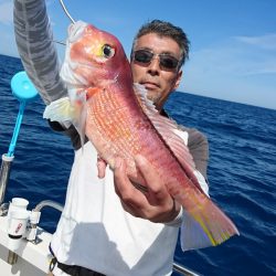 ARCADIAⅡ （アルカディアⅡ） 釣果