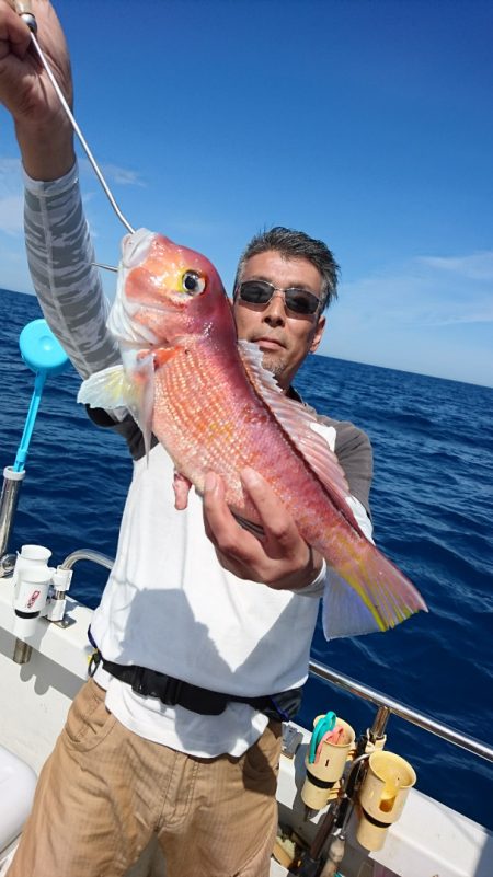 ARCADIAⅡ （アルカディアⅡ） 釣果