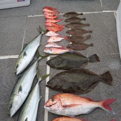 ARCADIAⅡ （アルカディアⅡ） 釣果