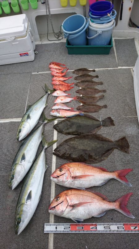 ARCADIAⅡ （アルカディアⅡ） 釣果