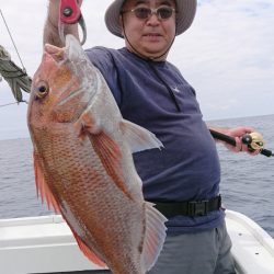 だて丸 釣果