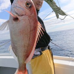 だて丸 釣果