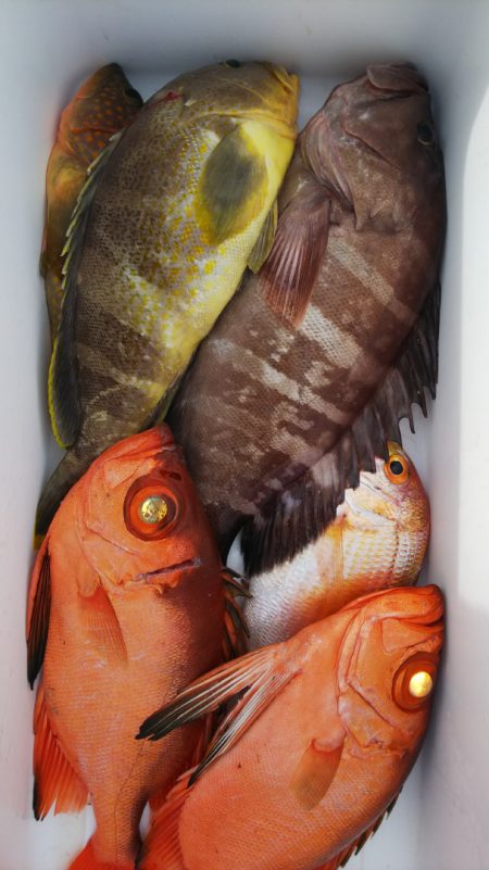 第二龍勢丸 釣果