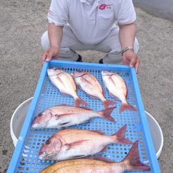 第三共栄丸 釣果