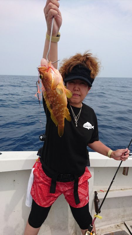 ARCADIAⅡ (アルカディアⅡ) 釣果