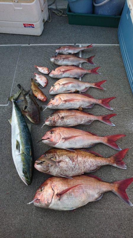 ARCADIAⅡ （アルカディアⅡ） 釣果…