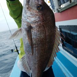 みやけ丸 釣果