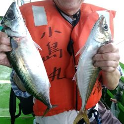 小島丸 釣果