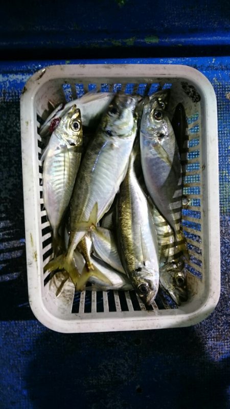 海龍丸(石川) 釣果