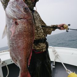 だて丸 釣果
