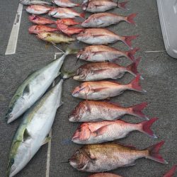 ARCADIAⅡ (アルカディアⅡ) 釣果